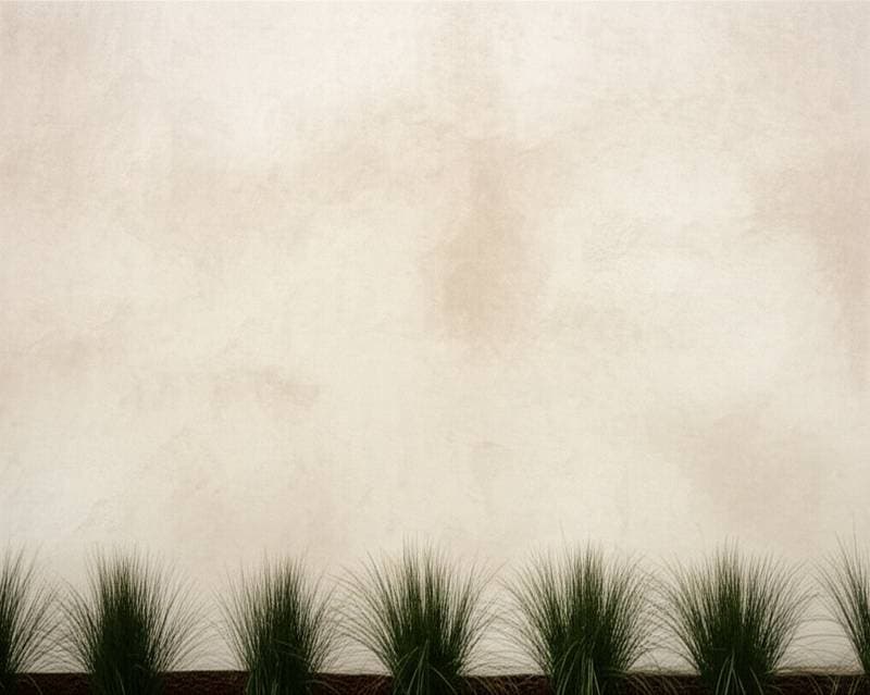 Image for Why Limewash Paint Ages Better Than Synthetic Coatings